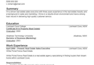 Resume format Word File for Sales Executive 31 Executive Resumes In Word