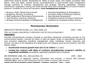 Resume format Word File for Sales Executive Sales Resume Template 24 Free Word Pdf Documents