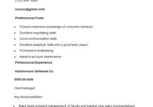 Resume format Word File for Sales Executive Write Your Resume Much Easier with Sales Resume Examples