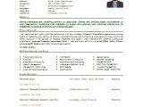 Resume format Word for Accountant 7 Accountant Resume Templates Free Word Pdf Document