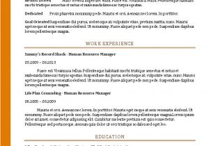 Resume format Word for Accountant Accountant Resume Sample 2016