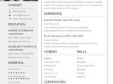 Resume format Word for Bank 14 Banking Resume Templates In Word Free Premium