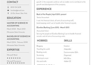 Resume format Word for Banking Sector 14 Banking Resume Templates In Word Free Premium