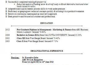 Resume format Word for Banking Sector Over 10000 Cv and Resume Samples with Free Download Mba