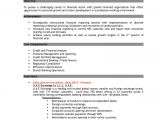 Resume format Word for Banking Sector Resume Banking
