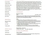 Resume format Word for Chef 14 Chef Resume Templates Word Pdf Google Docs Free
