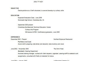 Resume format Word for Chef Chef Resume Template 14 Free Word Excel Pdf Psd