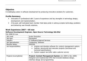 Resume format Word for Experienced Sample software Engineer Resume 8 Examples In Word Pdf