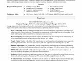 Resume format Word for Manager Level Program Manager Resume Sample Monster Com