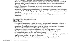 Resume format Word for Manager Level Project Manager Level Resume Samples Velvet Jobs