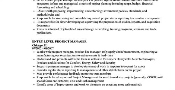 Resume format Word for Manager Level Project Manager Level Resume Samples Velvet Jobs