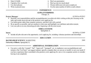 Resume format Word for Senior Management Position Executive Resume Template for Microsoft Word Livecareer