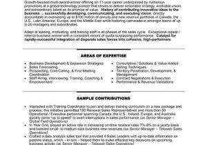 Resume format Word for Senior Management Position Pin by Deepak Jha On Resume Project Manager Resume