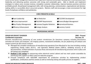Resume format Word for Senior Management Position Senior Management Executive Manufacturing Engineering