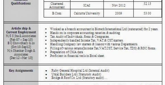 Resume format Word In Hindi Best Resume formats for India Download