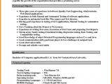 Resume format Word Job 13 Cv Resume Template Microsoft Word theorynpractice