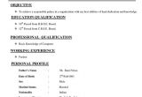 Resume format Word normal Image Result for Cv format normal Microsoft Word Basic