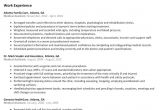 Resume format Word Size Template Best Cv Word format top Resume Templates Free