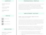Resume format Word Size Template Download Professional Cv Template Word Free