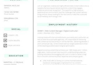Resume format Word Size Template Download Professional Cv Template Word Free
