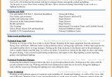 Resume format Word Zombie 6 Curriculum Vitae Download In Ms Word theorynpractice