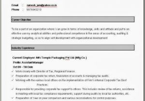 Resume format Word Zombie Simple Resume format In Word