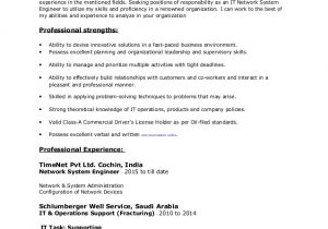 Resume Headline for Network Engineer Network System Engineer Resume