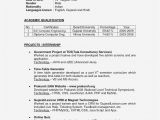 Resume Model for Students 15 Exciting Parts Of Realty Executives Mi Invoice and