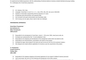 Resume Objective for Basic Resume Free Basic Resume Examples Resume Builder