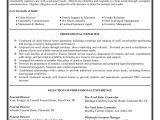 Resume Objective for Job Interview Funeral Director Resume Sales Executive Resume Sample Job