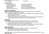 Resume Objective for Research Student Sample Undergraduate Research assistant Resume Sample ĺ