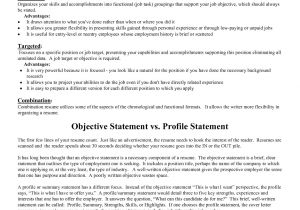 Resume Objective Sample Cv Objective Statement Example Resumecvexample Com