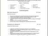 Resume Paper Job Interview Advertising Public Relations Resume Occupational Examples