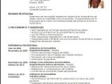 Resume Profesional De Enfermeria Curriculum Vitae De Enfermeria