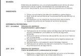 Resume Profesional De Enfermeria Modelo Curriculum Vitae Enfermera De Obstetricia