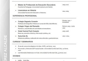 Resume Profesional De Enfermeria Modelo De Curriculum Vitae formal Modelo De Curriculum Vitae