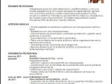 Resume Profesional De Trabajo social Modelo Curriculum Vitae Trabajadora social Livecareer