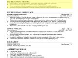Resume Profile Samples How to Write A Professional Profile Resume Genius