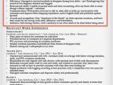 Resume Profile Samples Resume Profile Examples Writing Guide Resume Companion