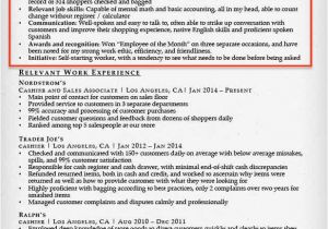 Resume Profile Samples Resume Profile Examples Writing Guide Resume Companion