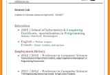 Resume Sample for Job Application Doc 11 Cv Sample for Job theorynpractice