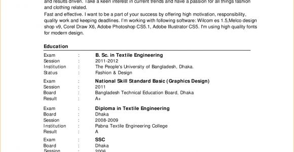 Resume Sample for Job Application Pdf 10 Sample Cv for Job Application Pdf Basic Job Appication