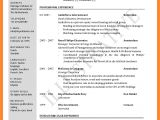 Resume Sample for Job Application Pdf 5 Cv Sample for Job Application Pdf theorynpractice
