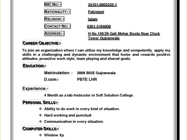 resume sample for job application pdf