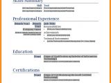 Resume Sample Word Doc 8 Cv In Word Document theorynpractice