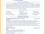 Resume Sample Word Doc 8 Cv In Word Document theorynpractice