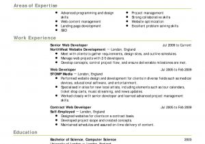 Resume Sample Xls 16 Free Resume Templates Excel Pdf formats
