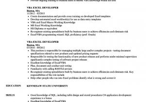 Resume Sample Xls Excel Vba Developer Resume Samples Velvet Jobs