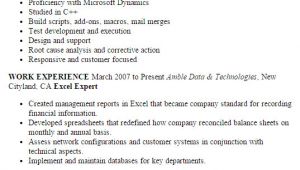 Resume Sample Xls Professional Excel Expert Templates to Showcase Your