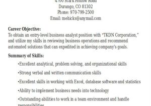 Resume Samples for Business Analyst Entry Level 20 Modern Business Resume Templates Pdf Doc Free